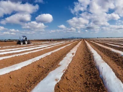 Fotografía acolchado con tractor de fondo